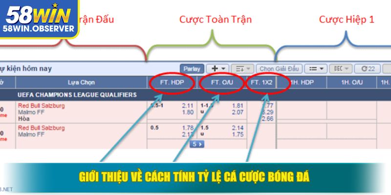 Giới thiệu về cách tính tỷ lệ cá cược bóng đá