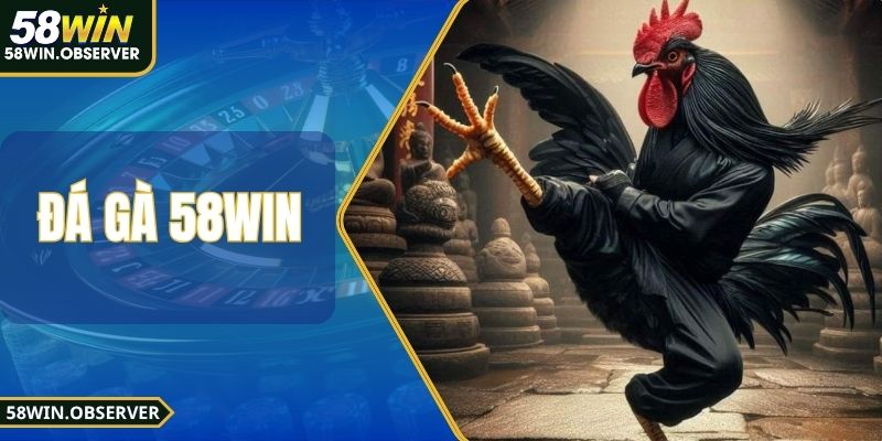 Đá Gà 58WIN - Sân Chơi Cực Thú Vị, Thưởng Lớn Hấp Dẫn